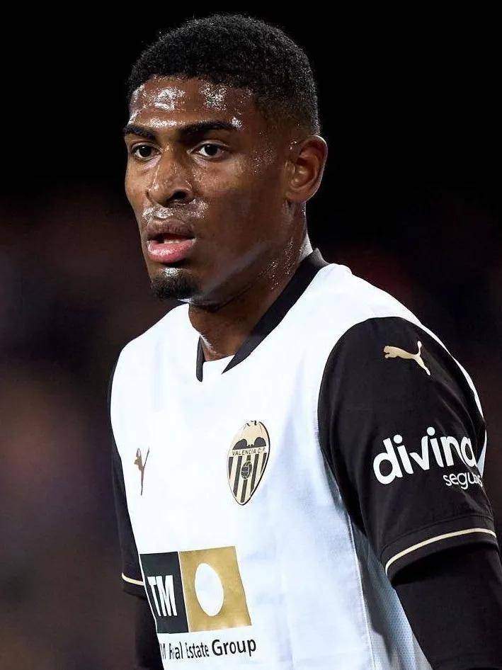 赞誉的球迷 赞誉的球迷