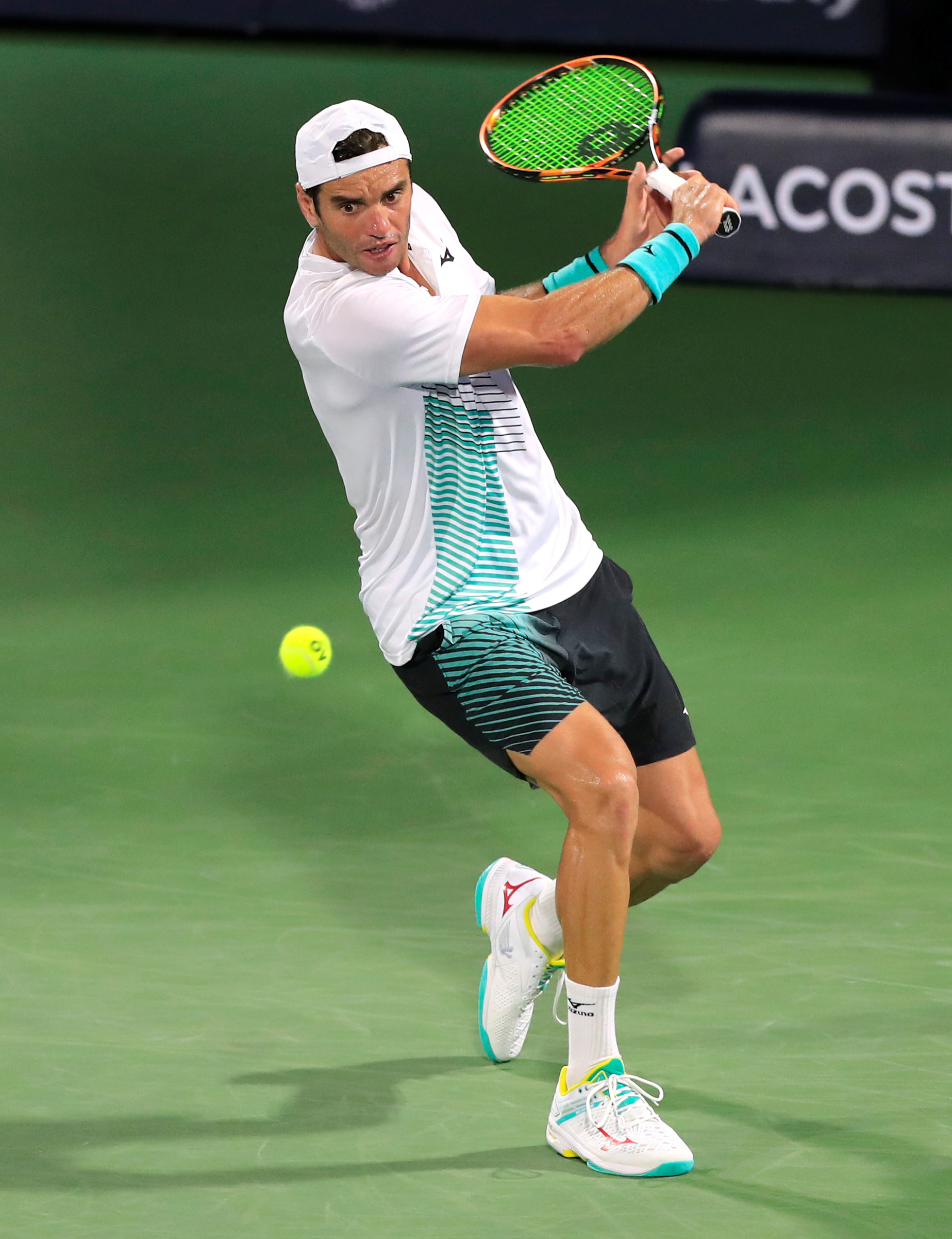 所表达的 所表达的